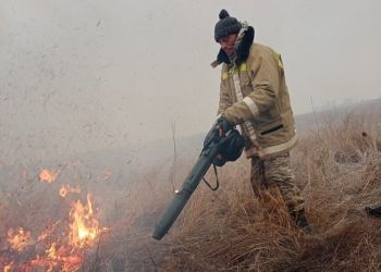 Особый противопожарный режим ввели еще на 9 территориях Приамурья