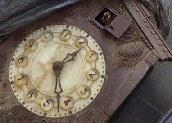 Часы с кукушкой обнаружили в книгообменнике Благовещенска