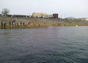 На соревнования по плаванью в холодной воде в Новобурейском собрались более 70 человек