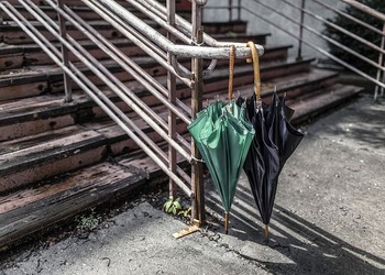 В воскресенье в Амурской области — дожди с грозами