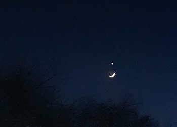 Амурчане наблюдают сближение Венеры и Луны