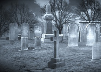 Жители Уфы тащат с кладбищ и дачных участков смертельную заразу
