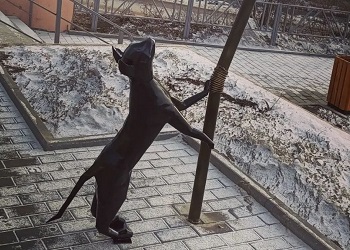 Амурский кузнец-любитель провел фотосессию для «железного» мартовского кота