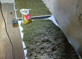 Более 30 килограммов марихуаны нашли у жителя Райчихинска