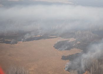 Виновники лесных пожаров в Приамурье будут возмещать затраты на тушение