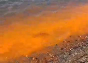 Во Владивостоке море окрасилось в оранжевый цвет