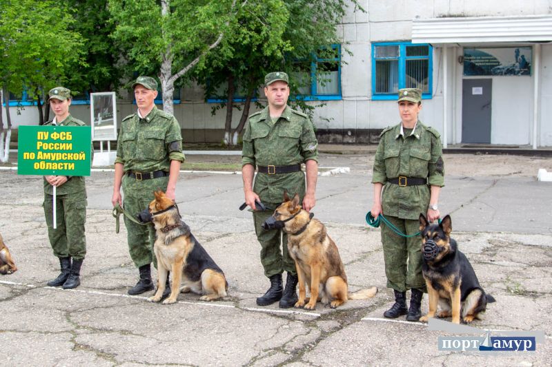 День пограничной кинологии картинки