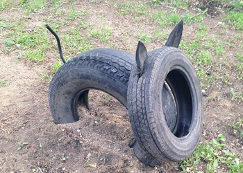 В Шимановске «управляйку» наказали за шины во дворе