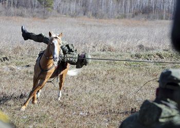 В Амурской области выявят лучшее конное подразделение России