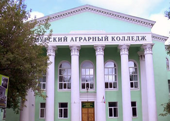 Амурский колледж получит 100 миллионов рублей на открытие производственных центров