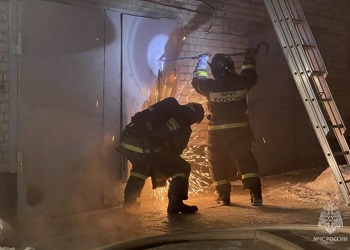 В Амурской области с начала года зарегистрировали почти 100 пожаров