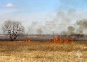 За сутки в Приамурье огонь прошел площадь в 35 гектаров