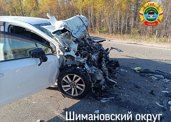 Причиной смертельного ДТП на федеральной трассе в Приамурье стал выезд на «встречку»