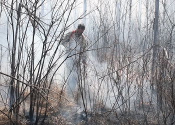 В Приамурье из-за жителей разгорелись пять природных пожаров