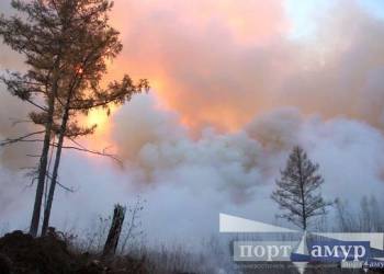 В Приамурье заповедник оштрафовали за лесной пожар