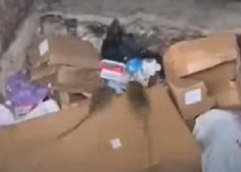 Жители Тынды жалуются на крыс в мусорных контейнерах
