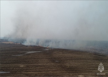 В Приамурье с начала сезона выявили около 50 природных пожаров