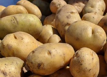 Первый в этом году картофель из Китая пришел в Приамурье