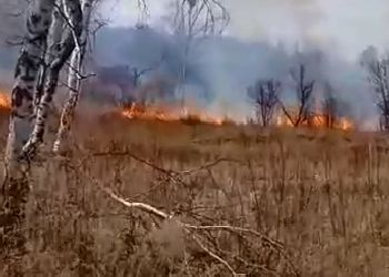 Школьник едва не спалил село в Приамурье