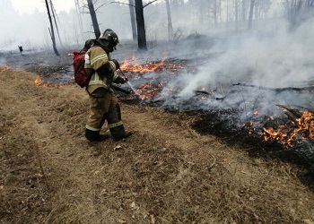 Осадки стабилизировали ситуацию с пожарами в Приамурье