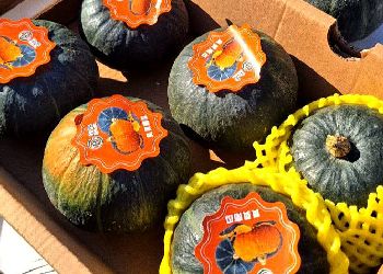 Первая в этом году партия овощей и фруктов поступила из Китая в Приамурье