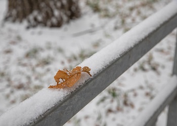 В последний день зимы в Приамурье выпадет небольшой снег