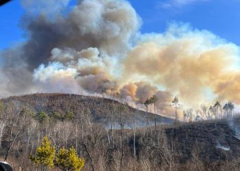 Природный пожар бушует в Благовещенском округе Приамурья