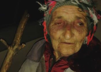 Ела шиповник и пила из луж: 81-летняя амурчанка 4 дня выживала в лесу