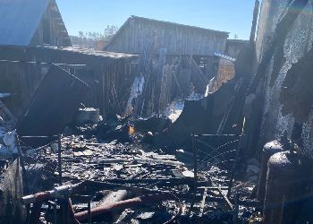 Многодетная семья спаслась из пожара в Приамурье, благодаря извещателю