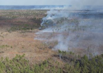 За сутки в Приамурье потушили три природных пожара