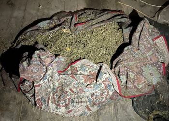 Более 50 килограммов марихуаны обнаружили в доме амурчанина
