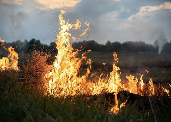 Амурская область готовится к осеннему пожароопасному сезону