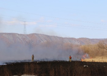 За сутки в Амурской области потушили 14 возгораний сухой растительности