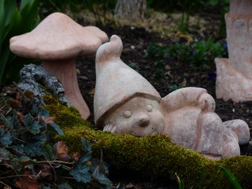 В Коми разгорелся скандал из-за скульптур грибов на экотропе