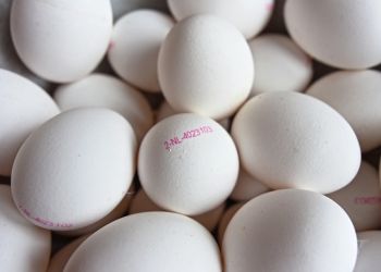 Амурстат сообщил о подорожании в Приамурье яиц на 21%