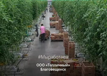 Больше 1 200 российских предприятий приняли участие во флешмобе #МыРаботаем