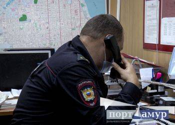 В полиции Благовещенска прокомментировали инцидент на Василенко