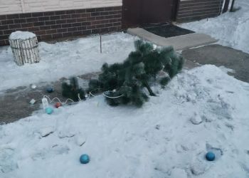 Вандалы снесли новогоднее оформление с территории мини-бара в Райчихинске