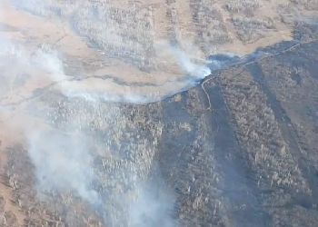 Два природных пожара охватили больше 70 гектаров в Приамурье