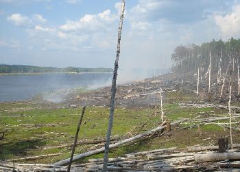 В районе Бурейского водохранилища из-за небрежности рыбаков возник лесной пожар