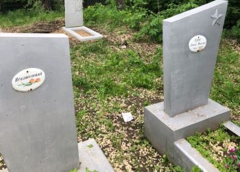 Мэрия Благовещенска поможет очистить Вознесенское кладбище