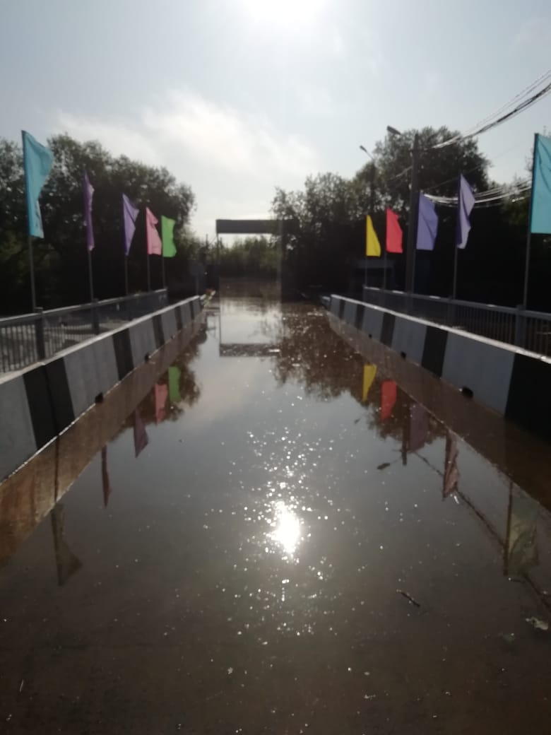 Детский лагерь «Колосок» в Благовещенске оказался в воде