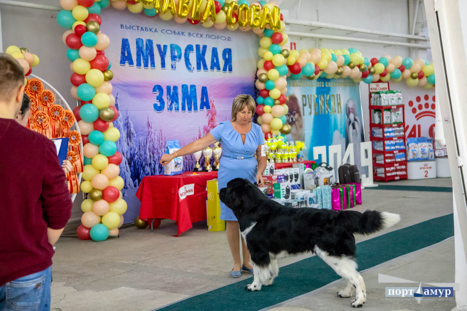 На выставке в Благовещенске показали щенка редкой породы