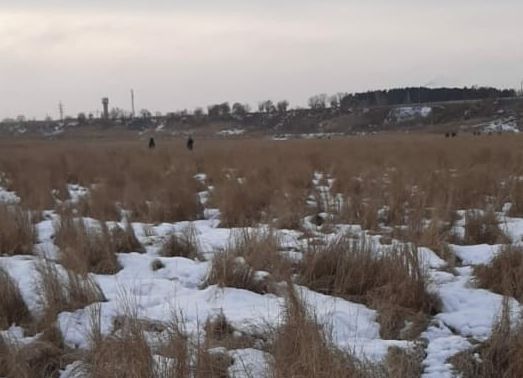 Село Игнатьево Амурская область