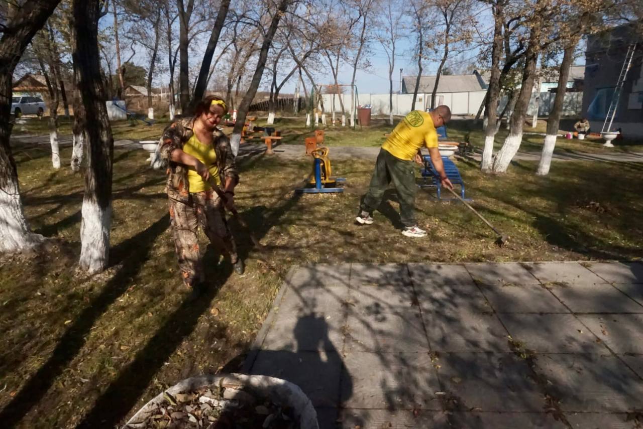 Огромную ракушку нашли в Благовещенске во время субботника | 16.10.2022 |  Благовещенск - БезФормата