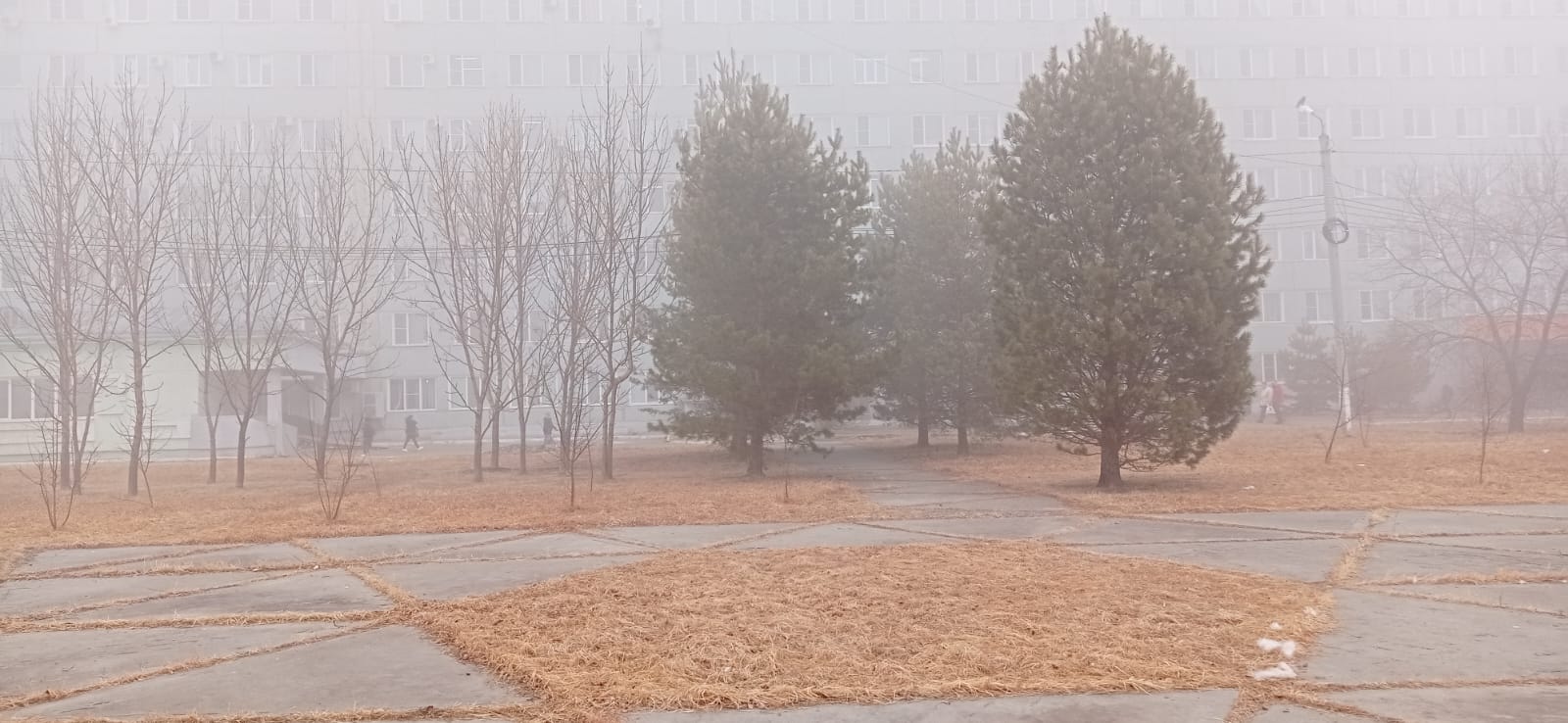 На Благовещенск опустился плотный туман