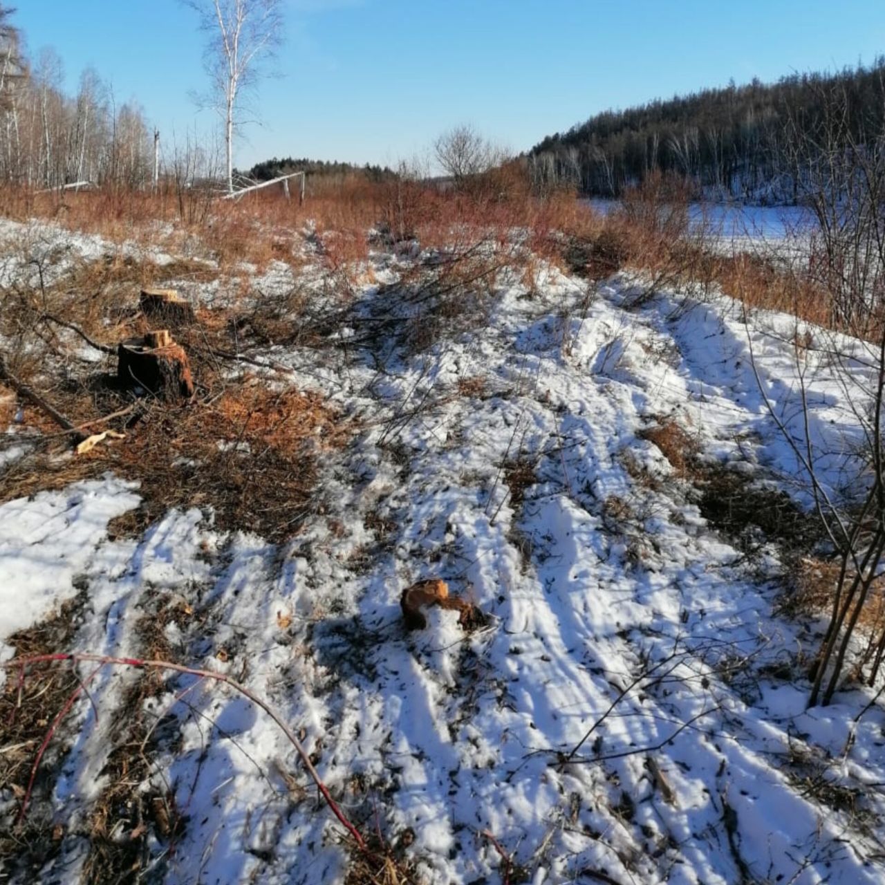 Амурчан обеспокоили работы на реке Деп