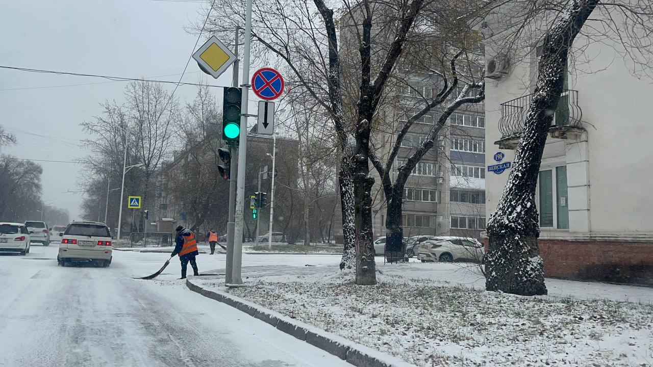 Благовещенцев призвали не оставлять машины у обочин