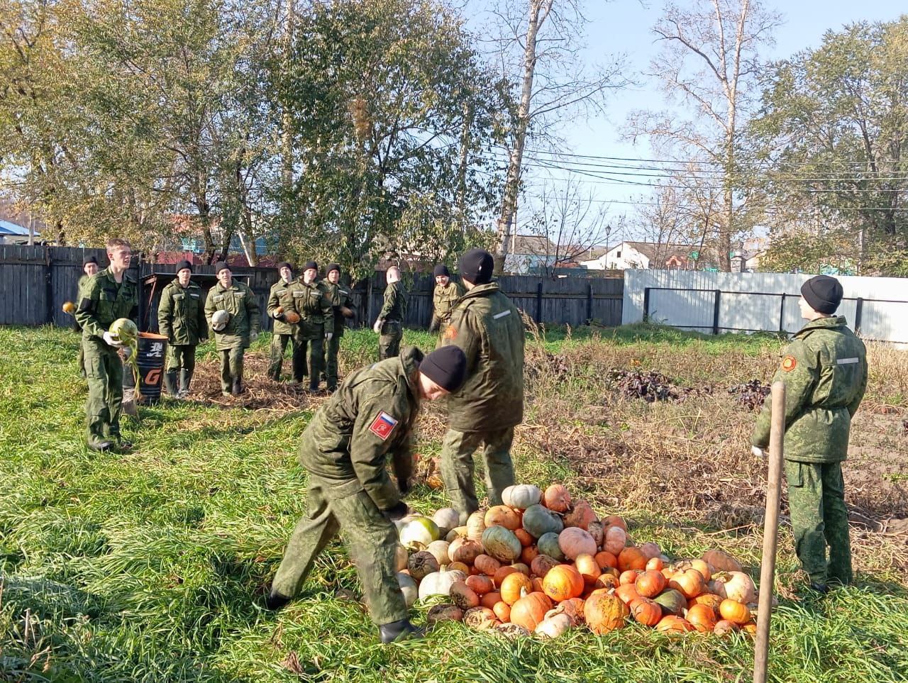 Амурские кадеты помогли собрать урожай для сухих борщей