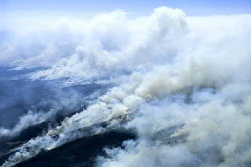 Около 30 природных пожаров действуют в Приамурье